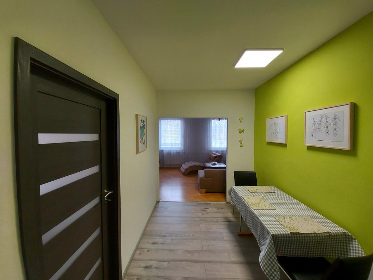 Apartmán Eva - plně vybavený byt - Týn nad Vltavou Exterior foto